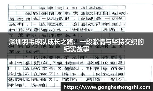 深圳羽毛球队成长之路：一段激情与坚持交织的纪实故事